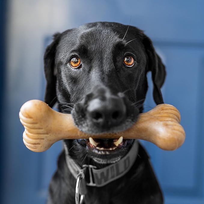 Bulkster Durable Chew Toy for Aggressive Chewers, Real Bacon, Made in USA, Large