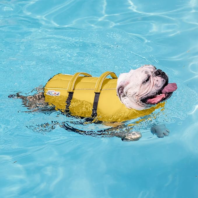 Outward Hound Granby Splash Dog Life Jacket, High-Buoyancy Dog Life Vest for Swimming, Boating, and Water Safety, Small, Yellow