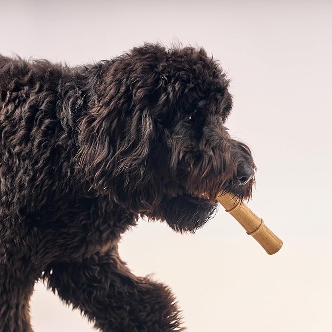 SPOT Bam-Bones Plus Bamboo Stick - Bamboo Fiber & Nylon, Durable Long Lasting Dog Chew for Aggressive Chewers – Great Toy for Adult Dogs & Puppies Under 90lbs, Non-Splintering, 9.5in, Chicken Flavor