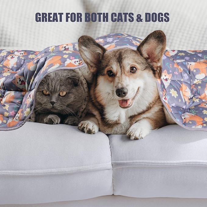 Leekalos Dog Cooling Mat,Pet Cooling Pads for Dogs Blanket,Summer Cooling Bed for Cats Blanket,Portable Pet Cooling Cushion for Home & Outdoor,Keep Cooling for Pets, Puppy Corgi