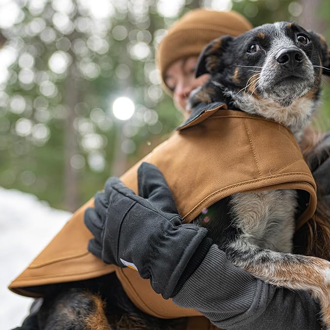 Carhartt Firm Duck Insulated Dog Chore Coat, Durable Weather Resistant Jacket for Cold and Windy Conditions, PFAS Free (Hunter Orange), Small