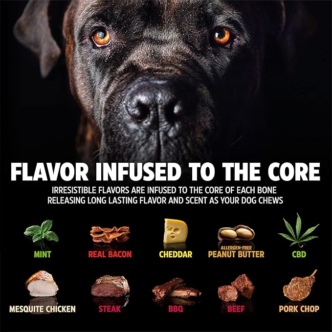 Pet Qwerks Wishbone BarkBone - Nylon Chew Toy for Aggressive Chewers - Bacon Flavor - 6.75"