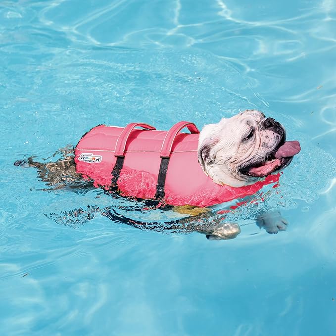 Outward Hound Granby Splash Dog Life Jacket, High-Buoyancy Dog Life Vest for Swimming, Boating, and Water Safety, XL, Pink