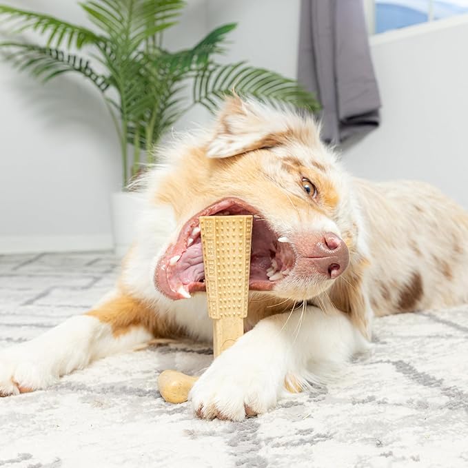 SPOT Bam-Bones Plus T-Bone, Bamboo Fiber & Nylon Dog Chew, Durable for Aggressive Chewers, Non-Splintering, for Adult Dogs & Teething Puppies Under 90lbs, 7in, Chicken Flavor