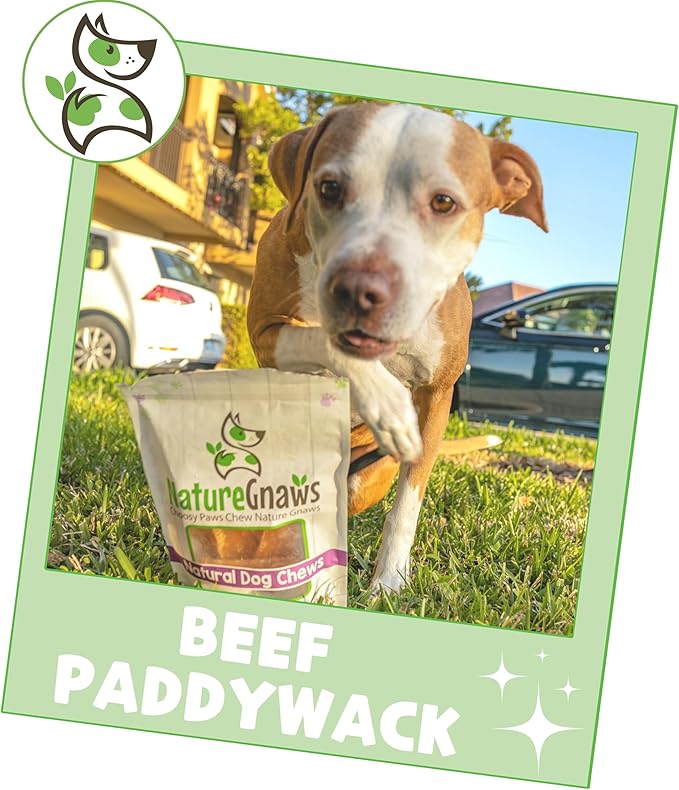 Nature Gnaws Beef Paddywack Tendons for Dogs 5-6" (10 Count) - Long Lasting for Aggressive Chewers - Natural Beef Dog Chew Bones - Rawhide Free