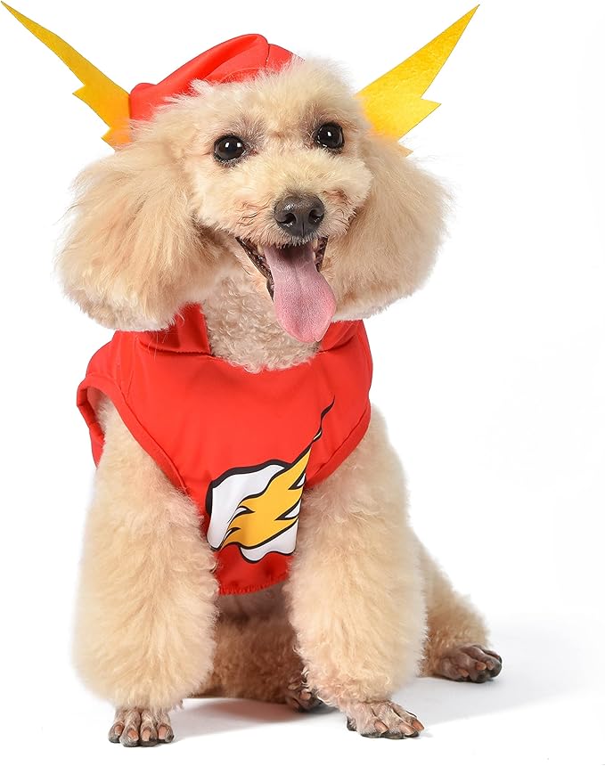 DC Comics Superhero The Flash Halloween Dog Costume – Large - | DC Superhero Halloween Costumes for Dogs, Funny Dog Costumes | Officially Licensed DC Dog Halloween Costume Red