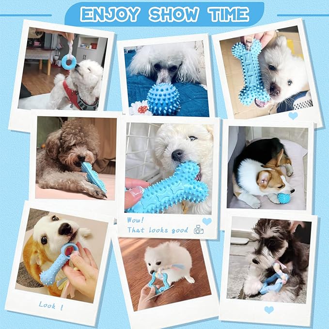 Petcare 6 Pack Puppy Chew Toys - Blue, Soft Rubber Rope & Bone Ball Teething Toys for Small Dogs & Puppies, Including Yorkie