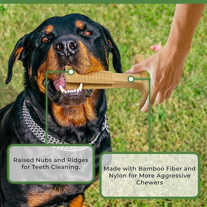 SPOT Bam-Bones Plus T-Bone, Bamboo Fiber & Nylon Dog Chew, Durable for Aggressive Chewers, Non-Splintering, for Adult Dogs & Teething Puppies Under 90lbs, 7in, Chicken Flavor
