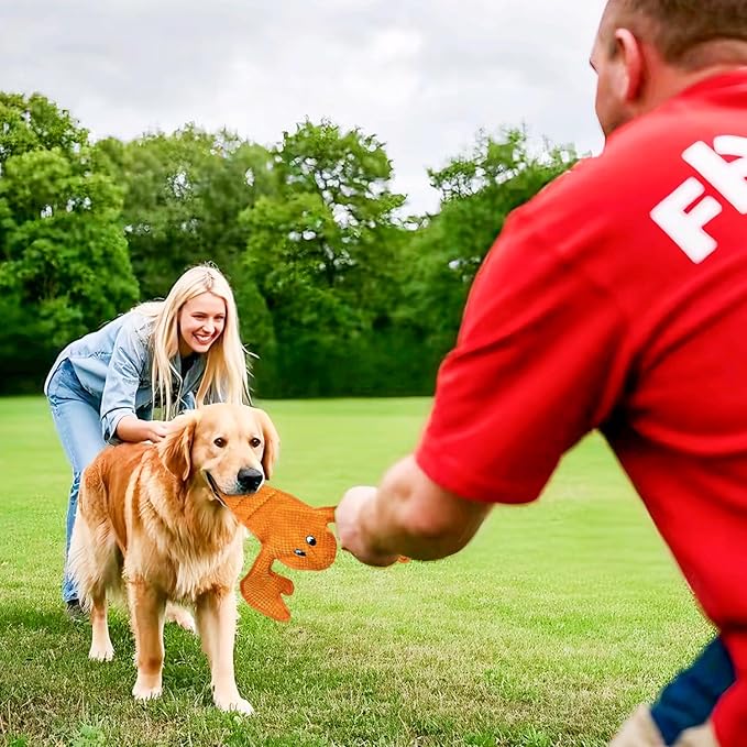 Dog Toy Squeaky Durable Chew Lobster Dog Toys No PP-Cotton,no Filling,no Stuffed for Small, Medium, Large Breed Dogs Interactive Hours of Fun Aggressive Toys