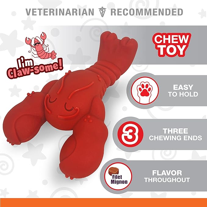 Nylabone Lobster Power Chew Toy for Dogs, Dog Toys for Aggressive Chewers, Filet Mignon Flavor, X-Large Dogs - 50+ lbs, 1 Count