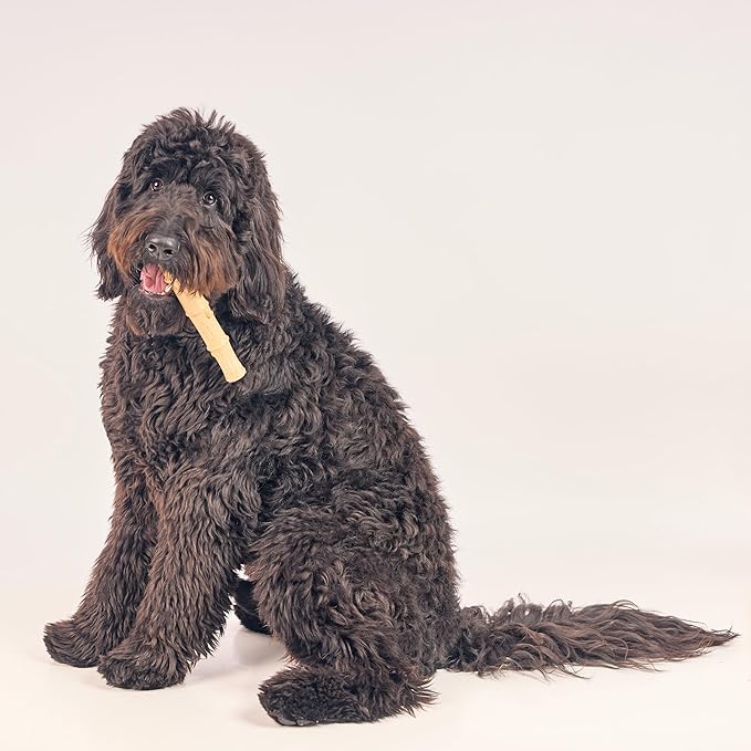 SPOT Bam-Bones Plus Bamboo Stick - Bamboo Fiber & Nylon, Durable Long Lasting Dog Chew for Aggressive Chewers – Great Toy for Adult Dogs & Puppies Under 90lbs, Non-Splintering, 9.5in, Chicken Flavor