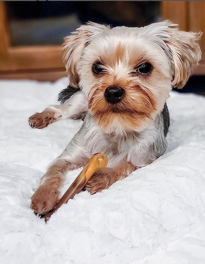 Nylabone Original Bone Power Chew Toy for Dogs, Durable Dog Toys for Aggressive Chewers, Flavor Frenzy Bacon Cheeseburger & Apple Pie Flavor, Small - Up to 25 Ibs, 2 Pack
