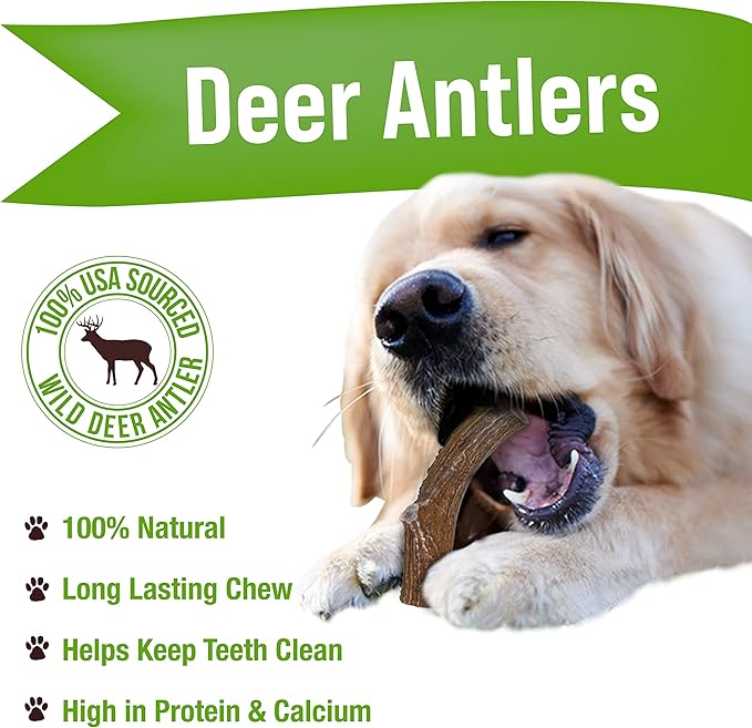 Buck Bone Organics Dog Chews, Deer Antlers for Dogs, Long Lasting Dog Bones for Aggressive Chewers, All Natural, No Preservatives, Wild Shed in The USA, Med/Large