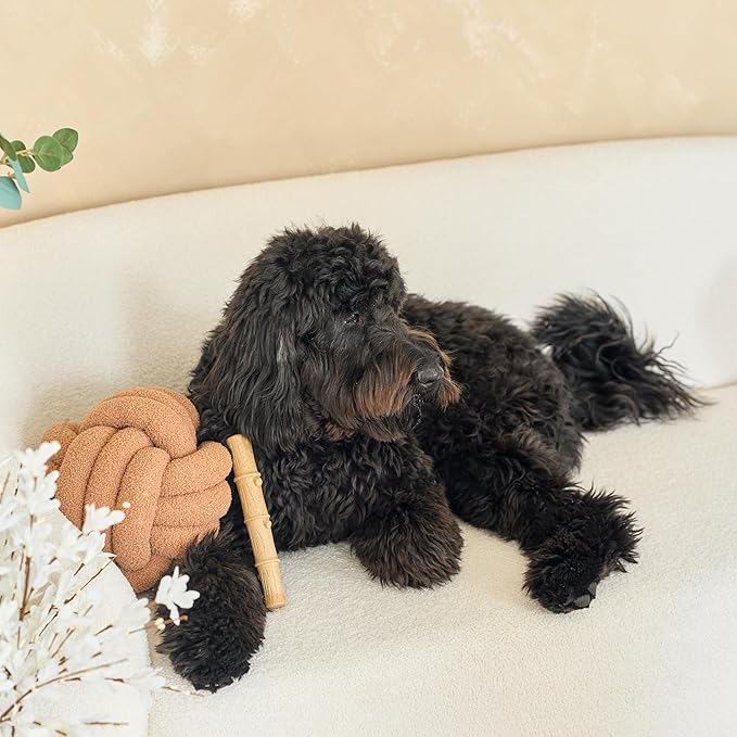 SPOT Bam-Bones Plus Bamboo Stick - Bamboo Fiber & Nylon, Durable Long Lasting Dog Chew for Aggressive Chewers – Great Toy for Adult Dogs & Puppies Under 90lbs, Non-Splintering, 9.5in, Chicken Flavor