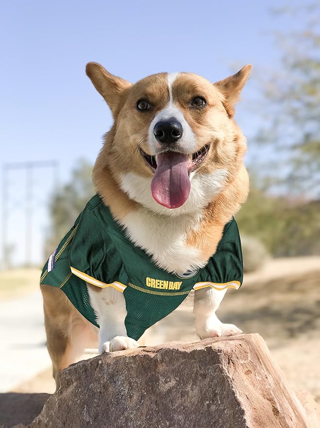 NFL GREEN BAY PACKERS DOG Jersey, XX-Large, GBP-4006-XXL