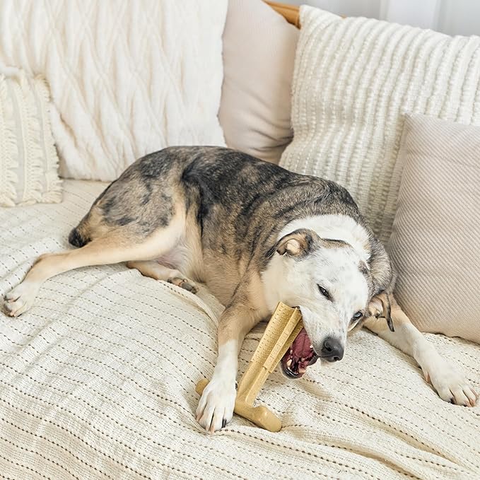 SPOT Bam-Bones Plus T-Bone, Bamboo Fiber & Nylon Dog Chew, Durable for Aggressive Chewers, Non-Splintering, for Adult Dogs & Teething Puppies Under 90lbs, 7in, Chicken Flavor