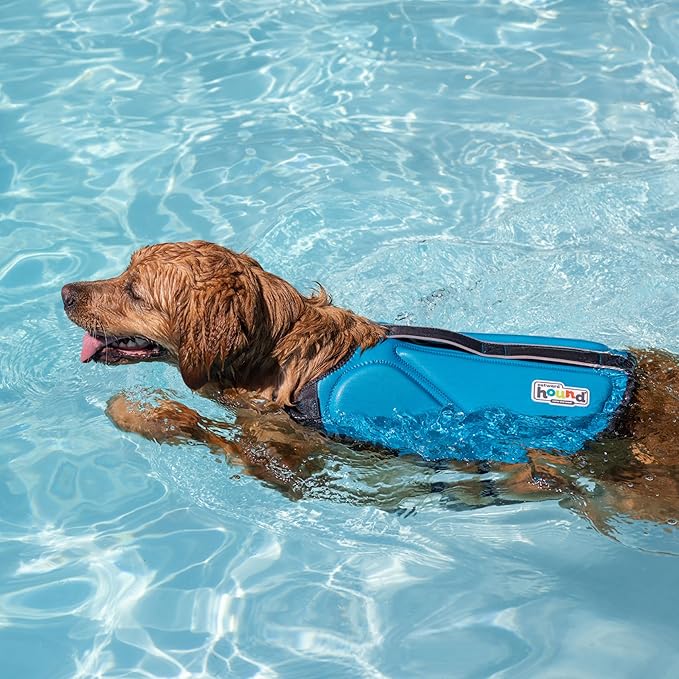 Outward Hound Dawson Swim Dog Life Jacket, High-Performance Neoprene Dog Life Vest for Swimming, Boating, and Water Safety, XS, Blue