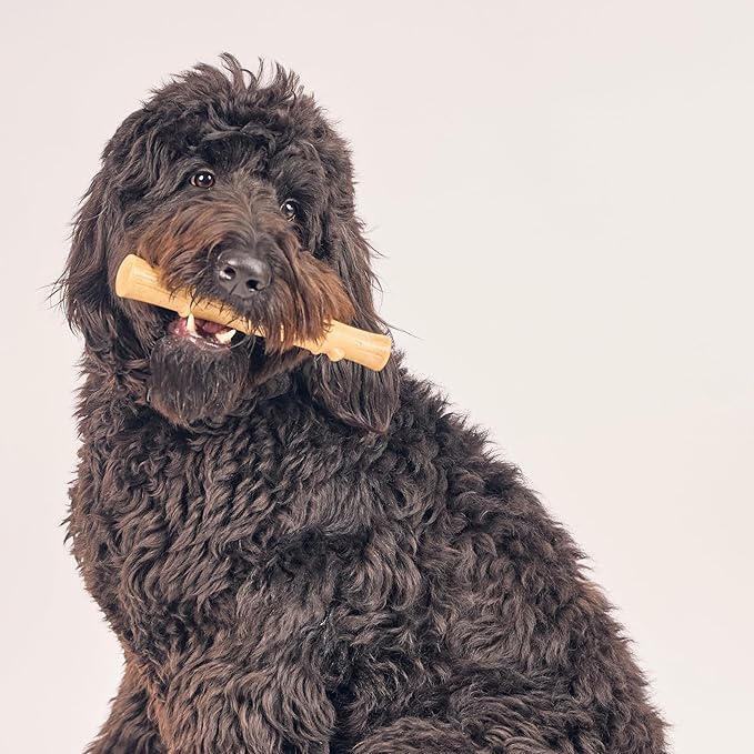 SPOT Bam-Bones Plus Bamboo Stick - Bamboo Fiber & Nylon, Durable Long Lasting Dog Chew for Aggressive Chewers – Great Toy for Adult Dogs & Puppies Under 90lbs, Non-Splintering, 9.5in, Chicken Flavor