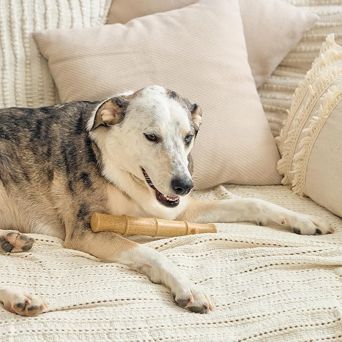 SPOT Bam-Bones Plus Bamboo Stick - Bamboo Fiber & Nylon, Durable Long Lasting Dog Chew for Aggressive Chewers – Great Toy for Adult Dogs & Puppies Under 90lbs, Non-Splintering, 9.5in, Chicken Flavor