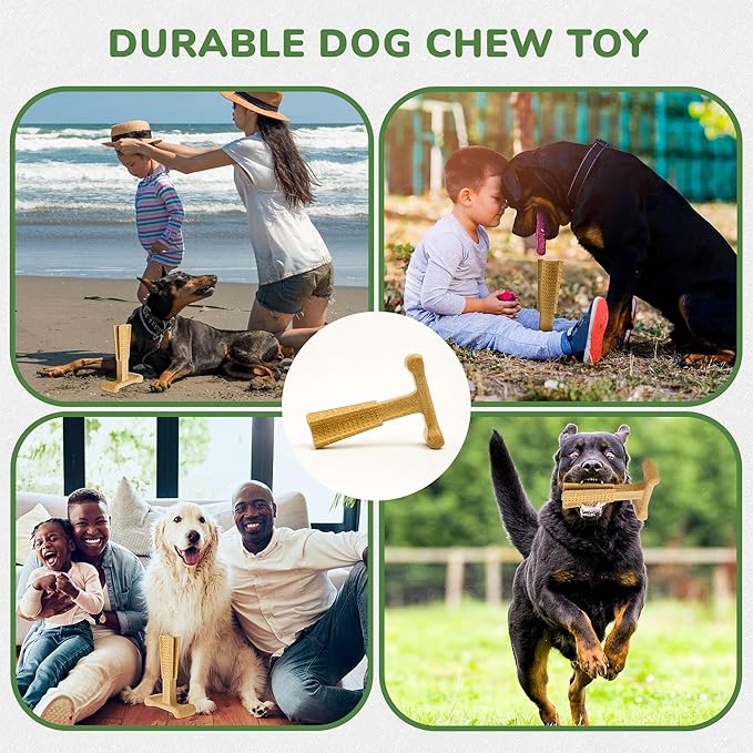 SPOT Bam-Bones Plus T-Bone, Bamboo Fiber & Nylon Dog Chew, Durable for Aggressive Chewers, Non-Splintering, for Adult Dogs & Teething Puppies Under 90lbs, 7in, Chicken Flavor